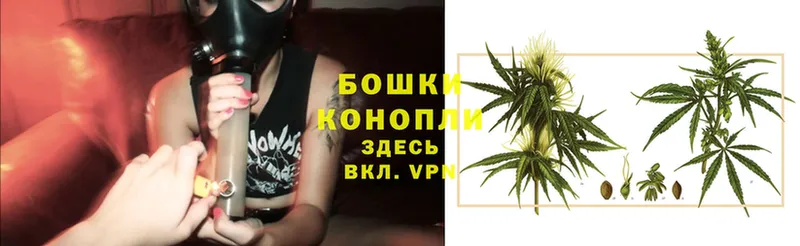 купить наркоту  Островной  Бошки марихуана SATIVA & INDICA 